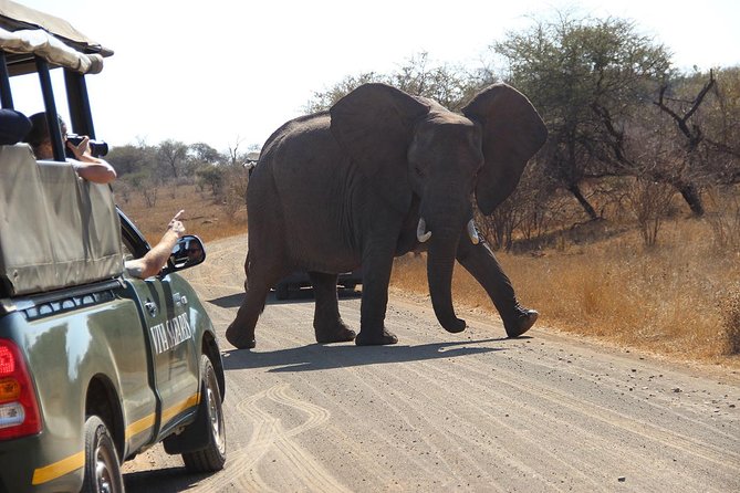 7 Day Classic Kruger National Park Safari - Why seven days in Kruger beats a rushed day trip