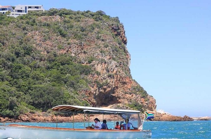 7-Day Garden Route Safari Adventure from Cape Town - Day 5: Knysna Heads, Tenikwa cats, and Birds of Eden