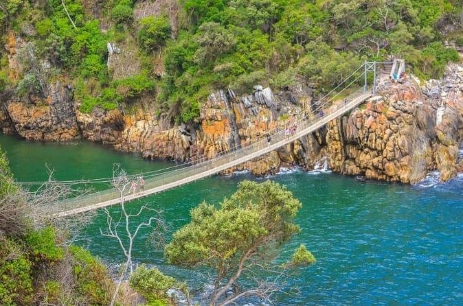 7-Day Garden Route Safari Adventure from Cape Town - Day 7: Back to Cape Town with photo stops and last views