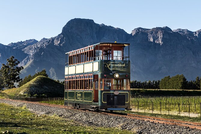 7 Day Garden Route to Addo, Cape Point and Winelands Combo tour - Day 3 Addo Elephant National Park safari plus Jeffreys Bay free time