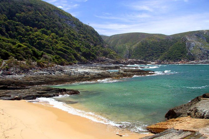 7 Day Garden Route to Addo, Cape Point and Winelands Combo tour - Day 4 Tsitsikamma: Bloukrans Bridge bungy or zipline, then suspension-bridge walking