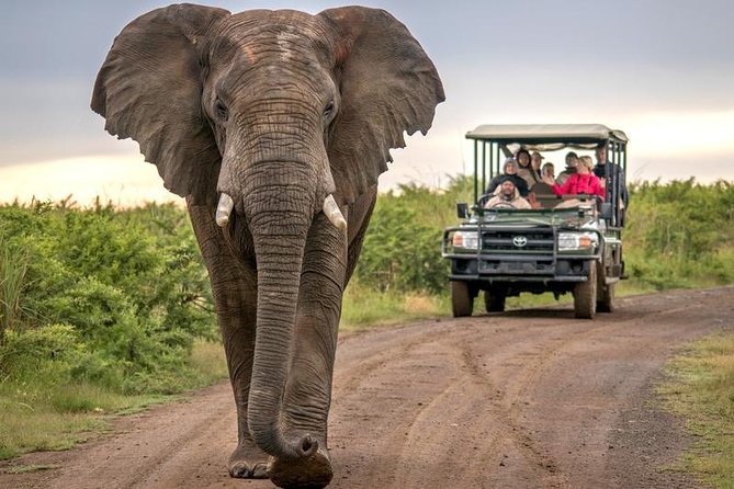 7 Day Garden Route to Addo, Cape Point and Winelands Combo tour - Day 6 Winelands day: 3 estates, tastings, and cheese-and-chocolate pairings
