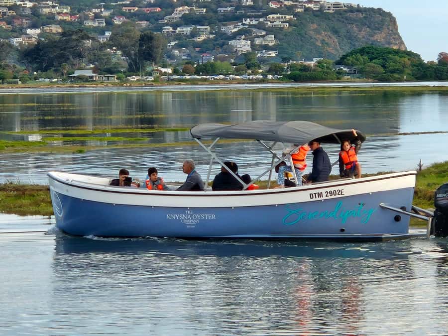 75 Minute Knysna Lagoon Charter - Food and drinks: oysters and snacks without overcomplicating your day