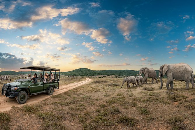 9 day Luxury Kruger Park Safari & Cape Town Tour - Panorama Route Views, God’s Window, And Blyde River Canyon In One Big Day