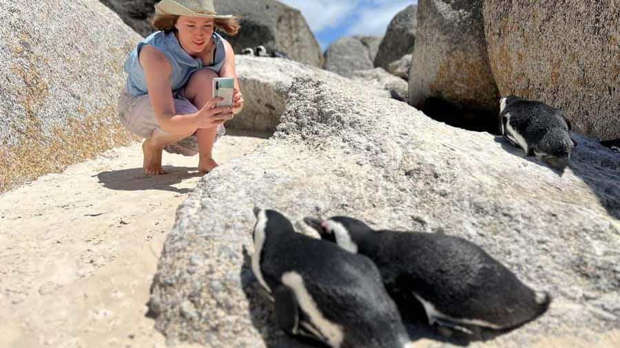 A Curious Adventure through Chapman’s Peak Drive: Cape Point - Key things I’d plan around