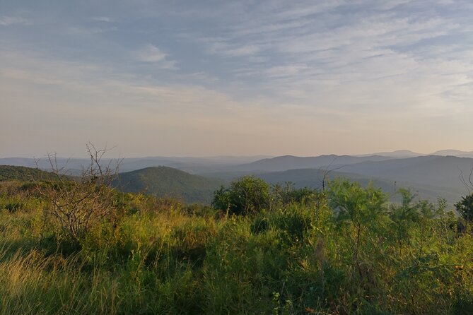 A Full Day Safari Tour to the Hluhluwe Imfolozi Big 5 Game Reserve - Durban pickup and the early start you’ll feel in your bones