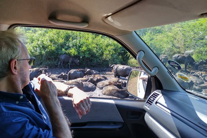A Full Day Safari Tour to the Hluhluwe Imfolozi Big 5 Game Reserve - FAQ