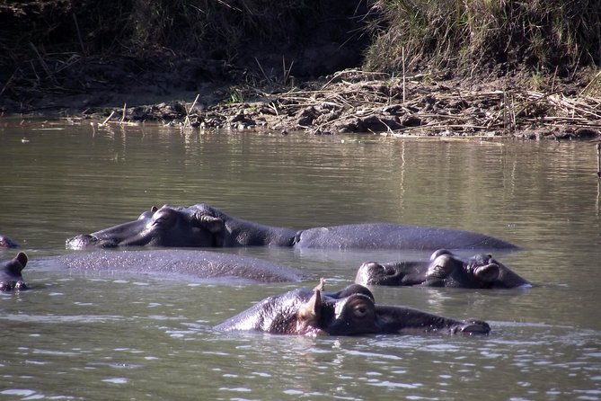 A Full Day Safari Tour to the Hluhluwe Imfolozi Big 5 Game Reserve - The 11-hour schedule: why it feels long, and how to handle it