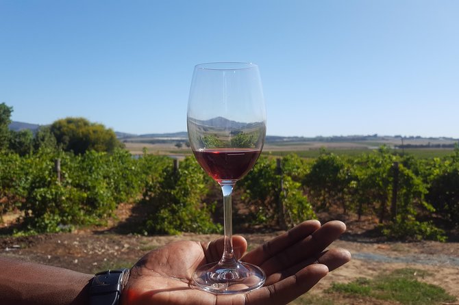 A Visit To Stellenbosch Franschoek Paarl Wineries From Cape Town Full Day - Key Things I’d Prioritize on This Day Trip