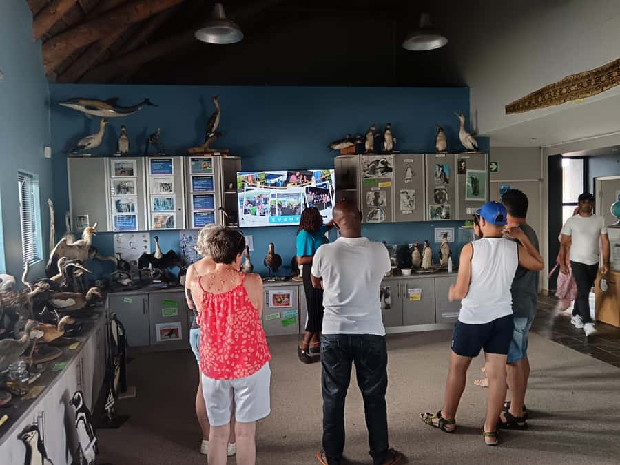 Addo Elephant National Park and Coastal Tour Combo - Sliding into Addo Elephant National Park with the right expectations