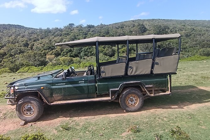 Addo Elephant National Park and Giraffe Walk Tracking Safari - Nanaga Farm Stall Lunch: A Proper Safari Break