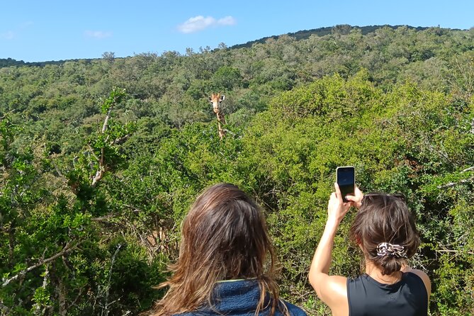 Addo Elephant National Park and Giraffe Walk Tracking Safari - Paterson Private Reserve: Giraffe Walk Tracking Safari on Foot