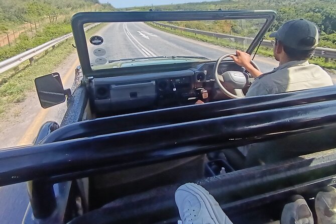 Addo Elephant National Park and Giraffe Walk Tracking Safari - Price and Value: Is $183.89 Reasonable?