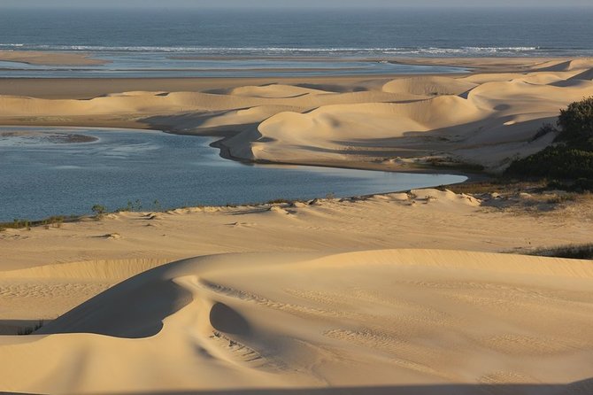 Addo Elephant National Park and Sunset River Cruise - FD04 - Price and value: what $169.54 per person really covers
