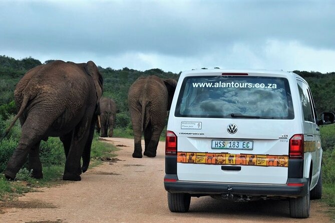 Addo Elephant National Park from Port Elizabeth - FD01 - Lunch and included refreshments, because a long safari needs fuel