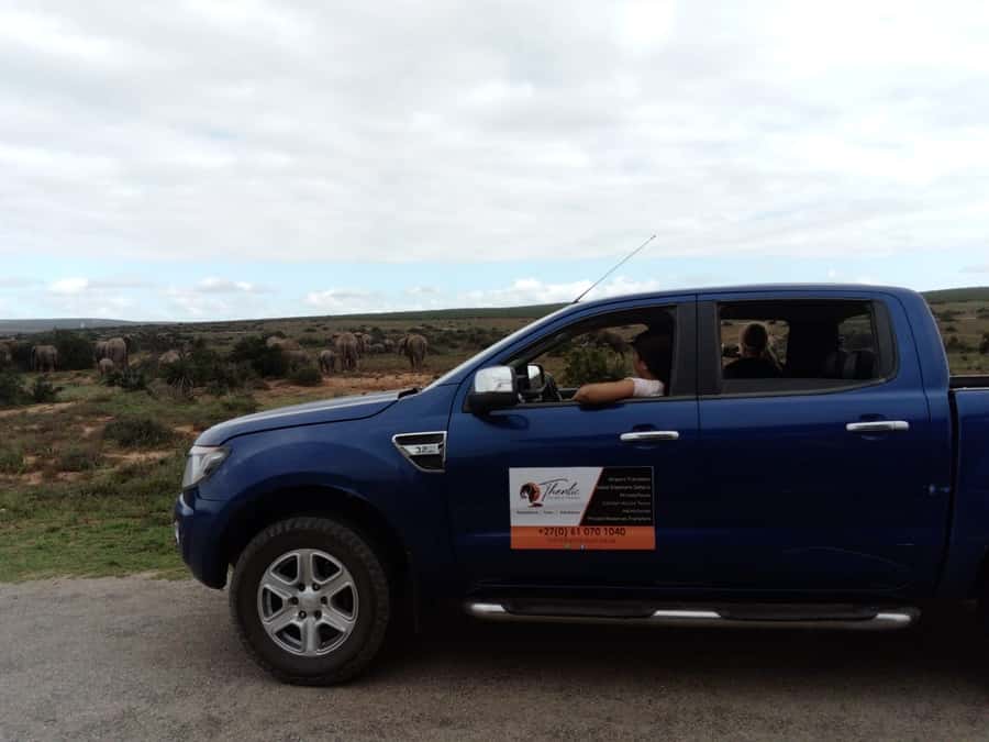 Addo Elephant National Park Game Drive Day Tour With Lunch - Pickup, drive time, and the Thentic Tours vehicle setup