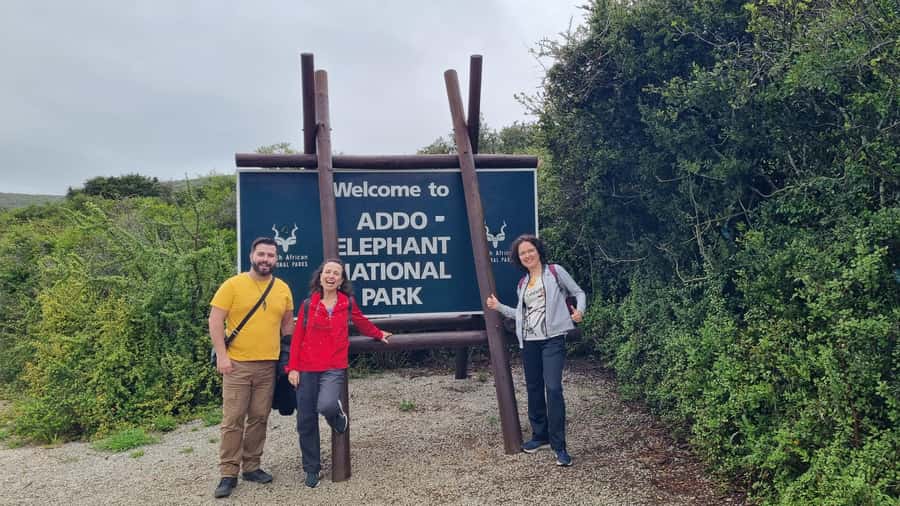 Addo Elephant National Park Private Full-Day Safari - Why Addo Elephant National Park feels worth it with a private full day