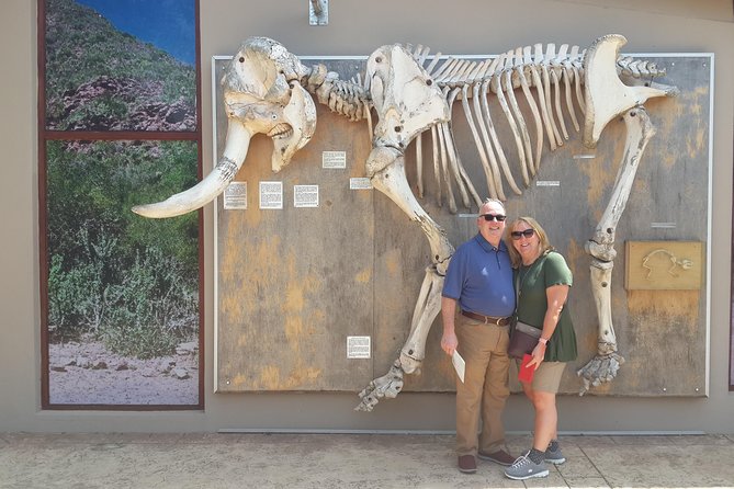 Addo Elephant National Park Tours from Port Elizabeth - Heat, patience, and how to get the best day