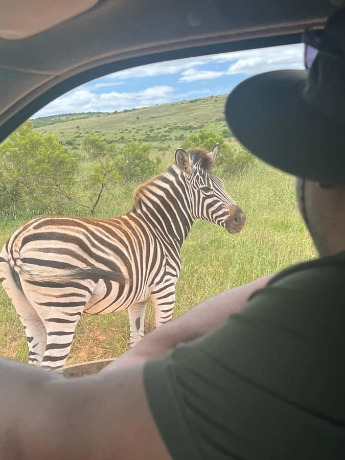 ADDO ELEPHANT PARK - Price and value at about $218 per person