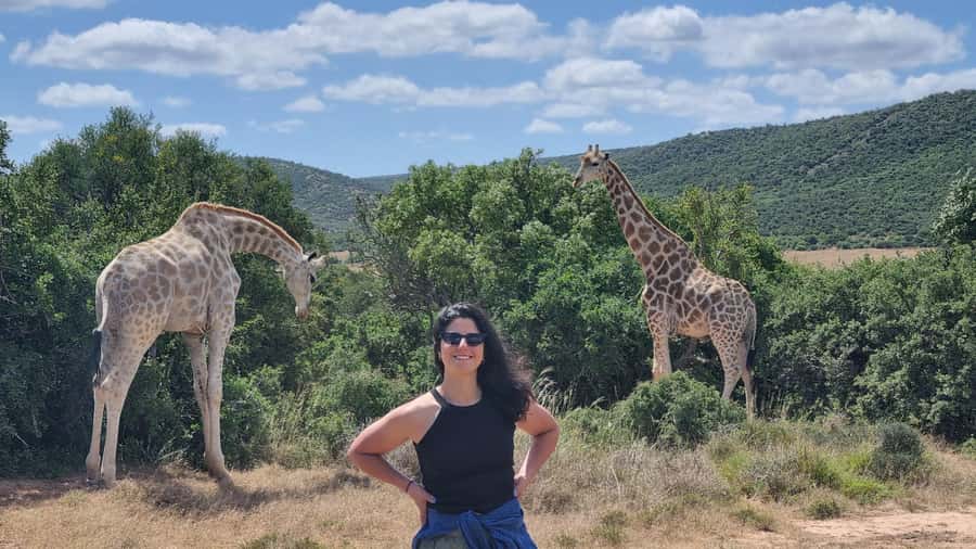 Addo Elephant Park and Giraffe Walk Full Day Safari - Why Addo Elephant National Park Safari Feels Different