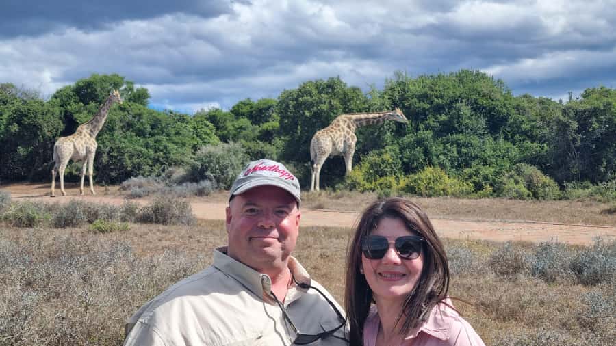 Addo Elephant Park and Giraffe Walk Private Full Day Safari - Getting to Addo Elephant Park: private pickup with real schedule control