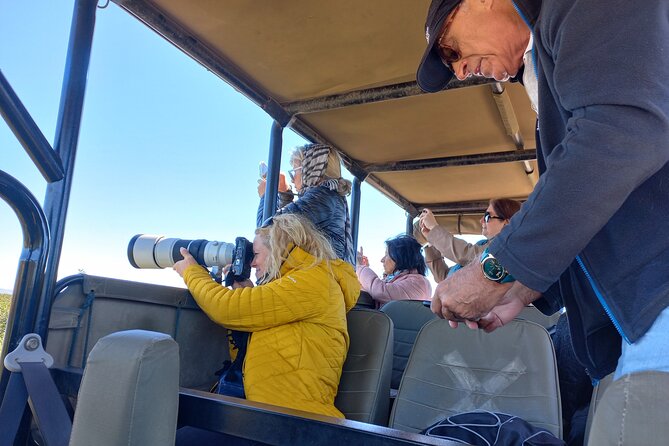 Addo Elephant Park Full day big 5 Safari - Your Port Elizabeth timing: why the start matters