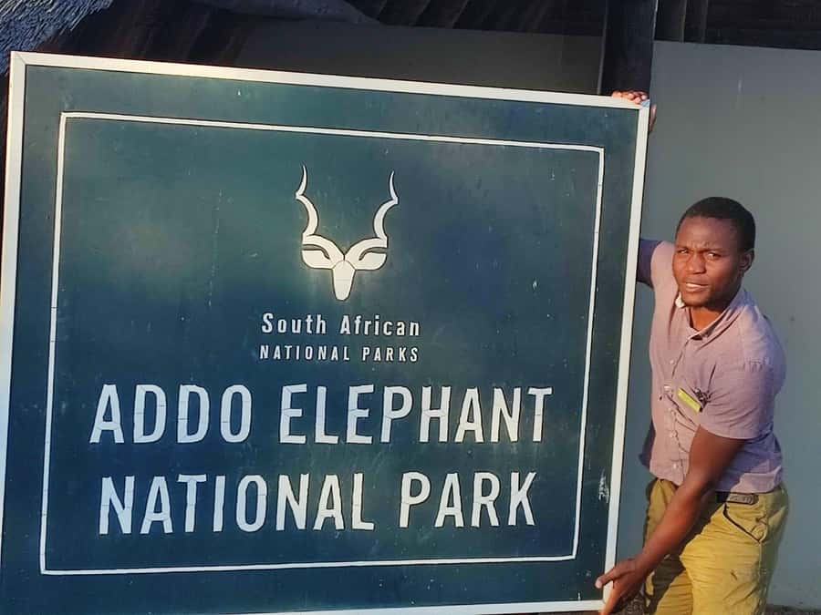 Addo Elephant Park Tours. Full Day - The morning rhythm: breakfast, then hunting waterholes the smart way