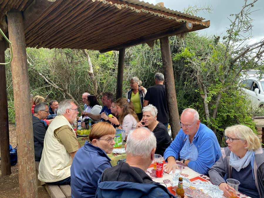Addo Elephant Park Tours. Full Day - Algoa Bay opportunities: a coast stop for whales and shark interest