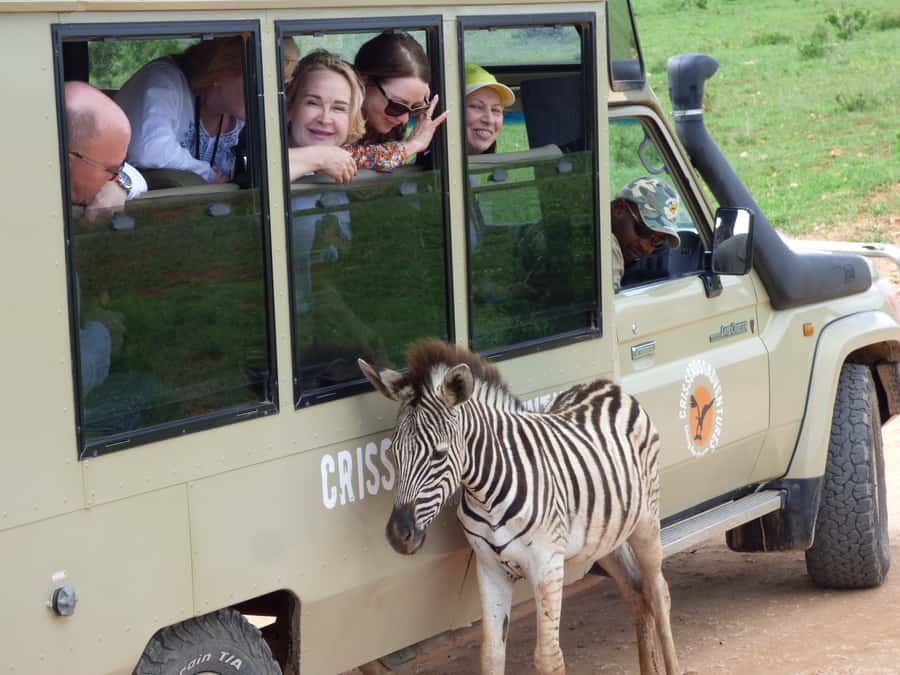 Addo National Park: Guided Half-Day Safari - The Closed Toyota Land Cruiser Safari Vehicle Setup