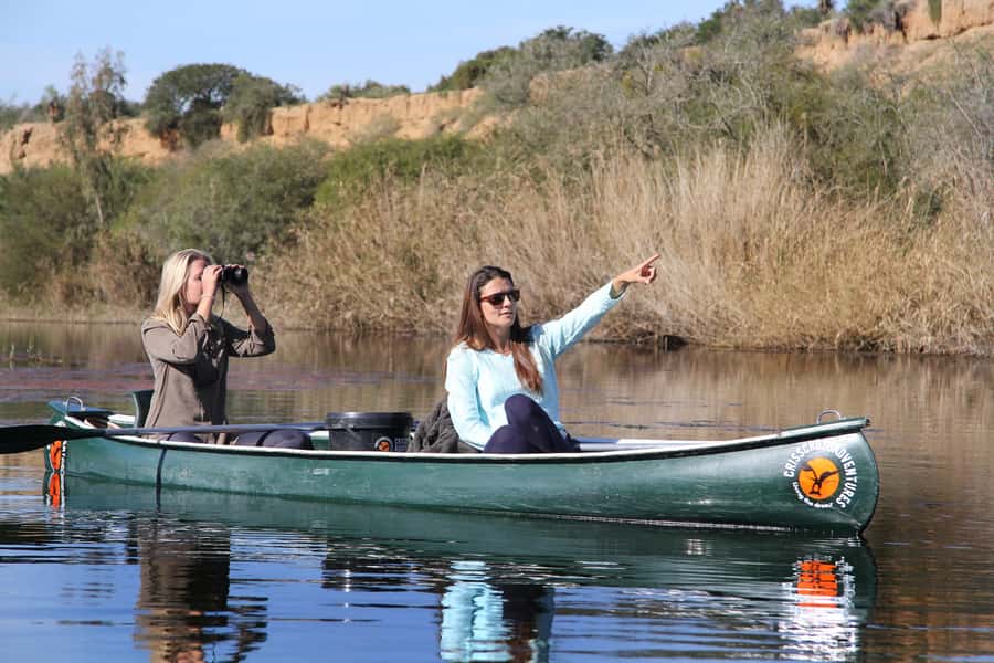 Addo River Safari - Guided Tour via Canoe - Wildlife from the water: monitor lizards, monkeys, and otters