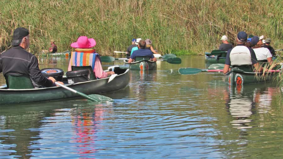 Addo River Safari - Guided Tour via Canoe - Timing and pacing: 150 minutes on the river, rain or shine