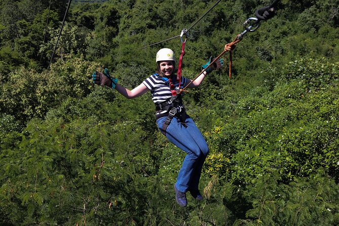 Aerial Cable Trail in Hazyview - What you’ll notice during each glide, from forest floor to birdlife