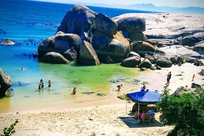 African Penguins (Boulders Beach) Half Day tour from Cape Town - Price and Value: What You Pay, and What You Get Back