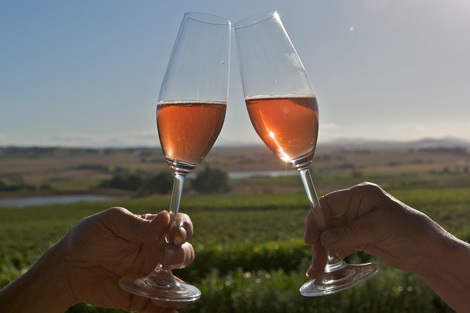 African Story Wine Tours in the Cape Winelands - Lunch at Le Pommier: the sanity break that matters