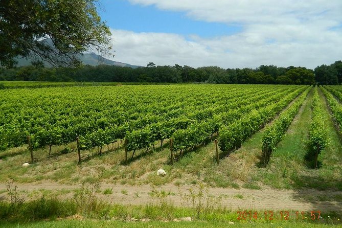 African Story Wine Tours in the Cape Winelands - Small group size and pacing, the best kind of “value”