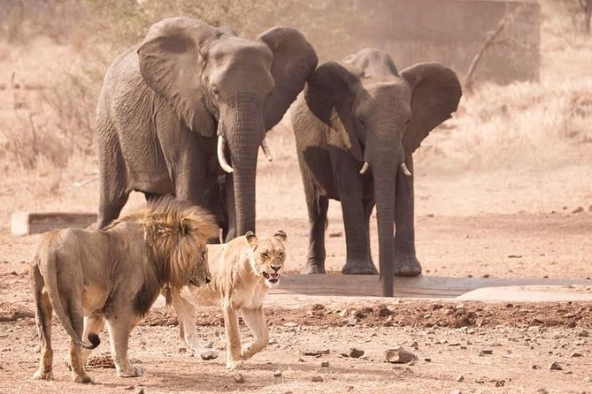 All Inclusive 2 Day Kruger Safari from Johannesburg - Johannesburg to Kruger, minus the planning chaos