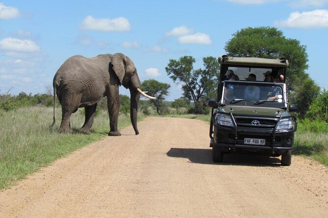 All Inclusive 2 Day Kruger Safari from Johannesburg - Overnight lodge: what you actually get after two big days