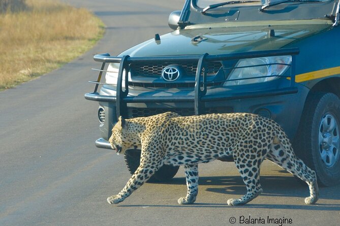 All Inclusive 3 Day Kruger Safari Adventure From Johannesburg - Vehicle Time, Rain, and the Reality Check You Should Plan For