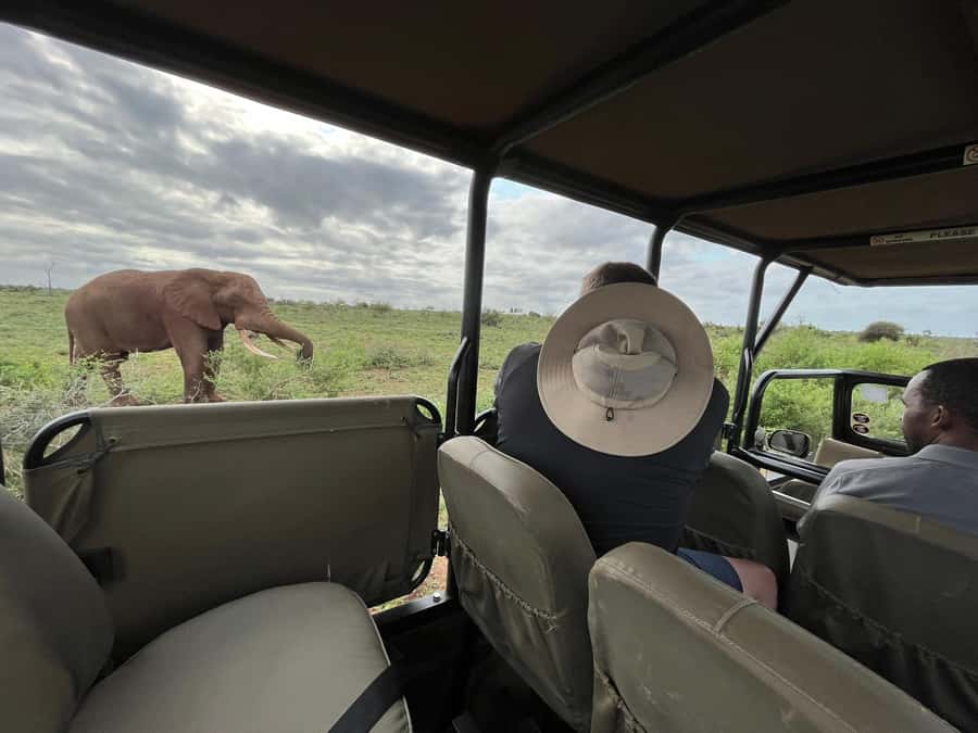 All Inclusive 3 Day Kruger Safari from Nelspruit - Key things that make this safari tick