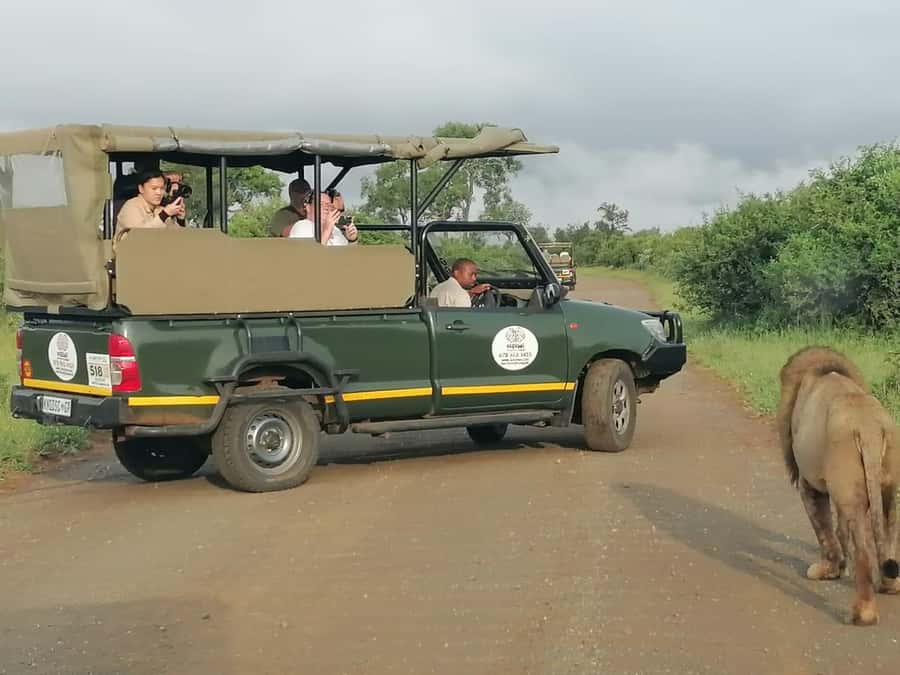 All Inclusive 3 Day Kruger Safari from Nelspruit - Two nights in a comfortable lodge, with meals planned around safari time