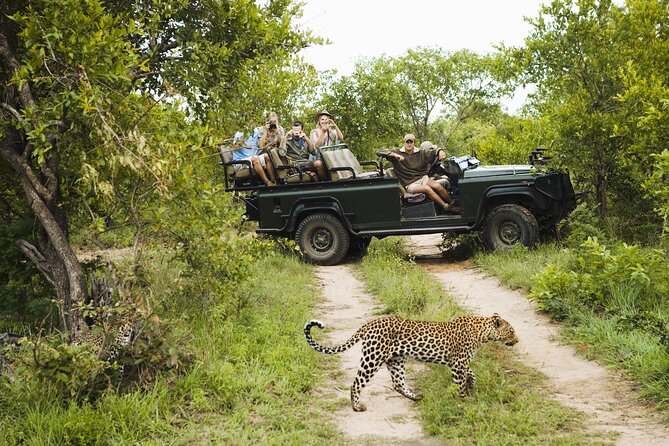 All inclusive BIG 5 Kruger 2 Day Safari from Johannesburg - Key highlights worth packing for