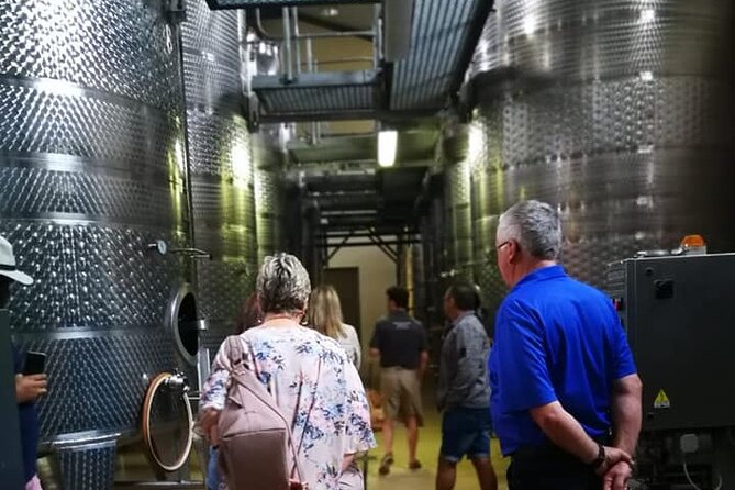 All-inclusive Private Wine Tour in Stellenbosch Cape Winelands - How the Stellenbosch Private Wine Tour Fits Into Your Day