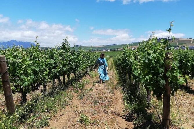 All-inclusive Private Wine Tour in Stellenbosch Cape Winelands - Stellenzicht Finale: Chocolate and Wine, Plus Sustainable Farming Talk