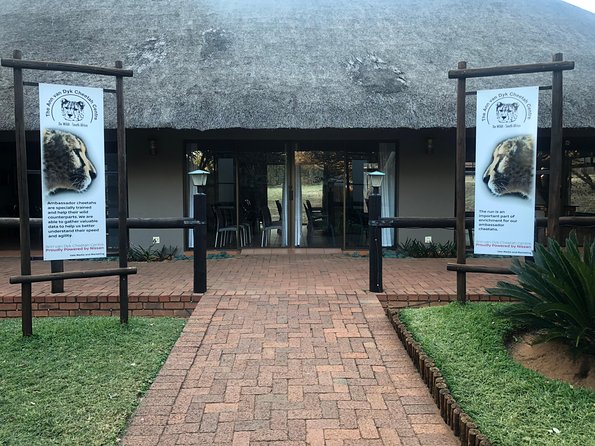 Ann Van Dyk Cheetah Centre Tour from Johannesburg or Pretoria - Key things to know before you go