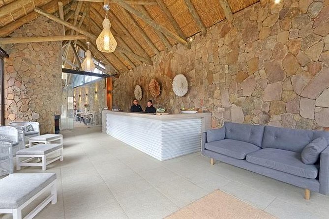 Aquila Day Safari - with transport - Price and value: is $281.89 a fair deal?