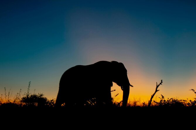 Aquila Game Reserve Sunset Safari - Key highlights you will actually feel on this safari