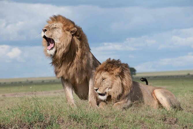 Aquila Game Reserve Sunset Safari - Why Aquila’s sunset safari is the smart choice