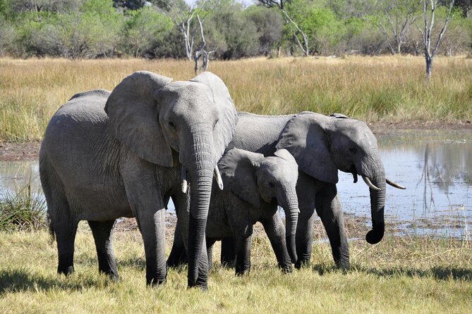 Aquila Game Reserve Sunset Safari - The 5-hour structure: how to plan your day around it