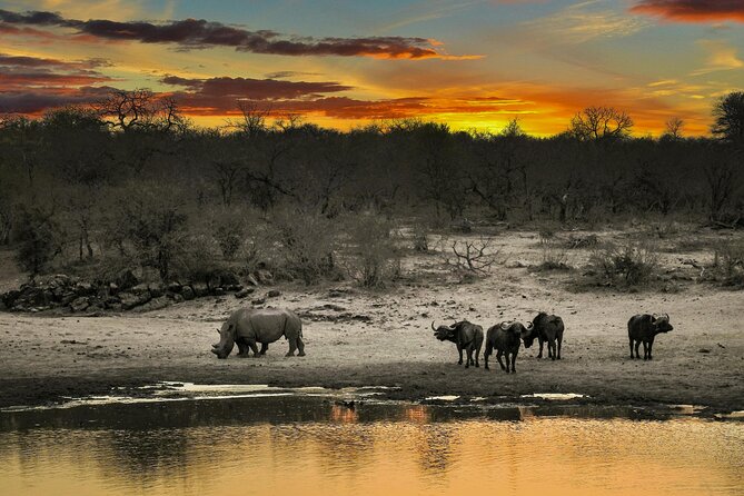 Aquila Game Reserve Sunset Safari - Group size and guide attention: what a max of 10 changes