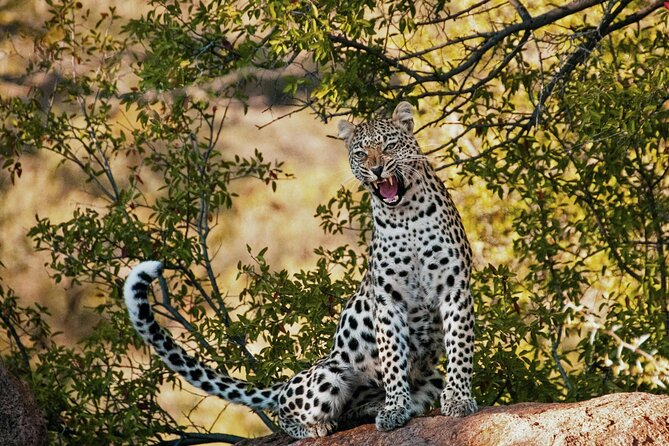Aquila Game Reserve Sunset Safari - Entering Aquila Private Game Reserve: what a guided drive gets you